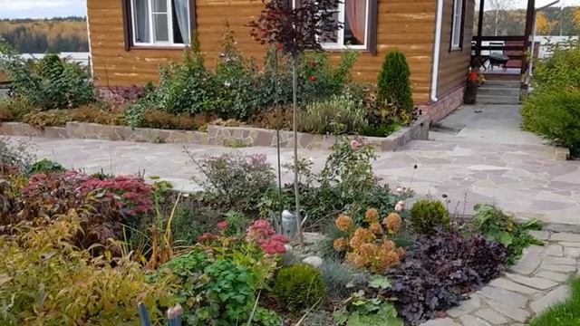Мой летний огород часть (14)