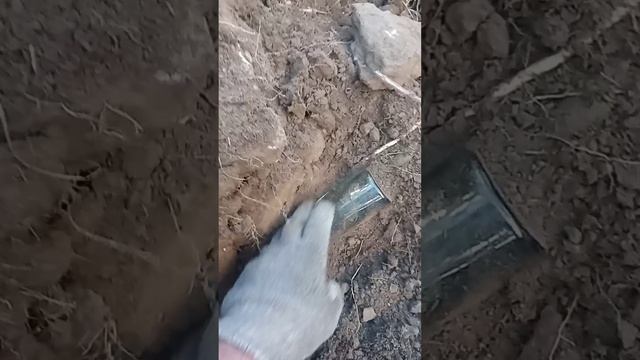И снова на Шурфе.