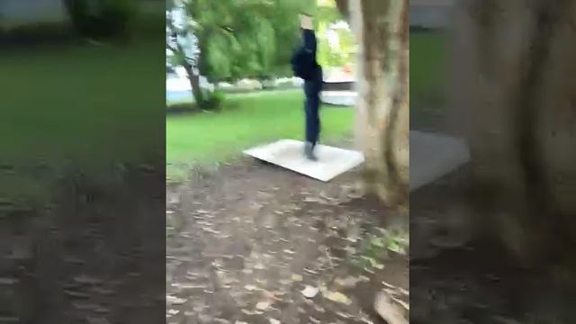 Аттракцион Новые Ляды