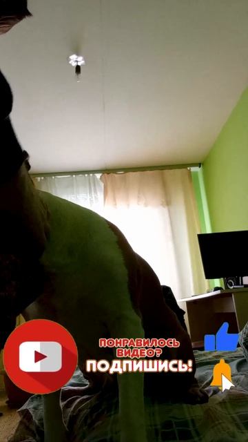 Амстафф Трейси показывает свою одежду