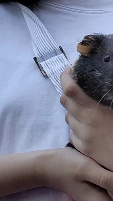 Нюша