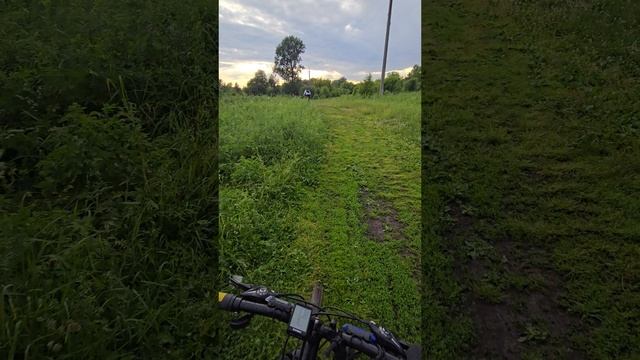 дорога с Водной