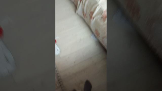 конец снюсоеду