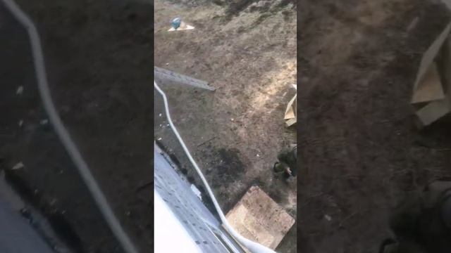Утепление эковатой. Тепло и сухо