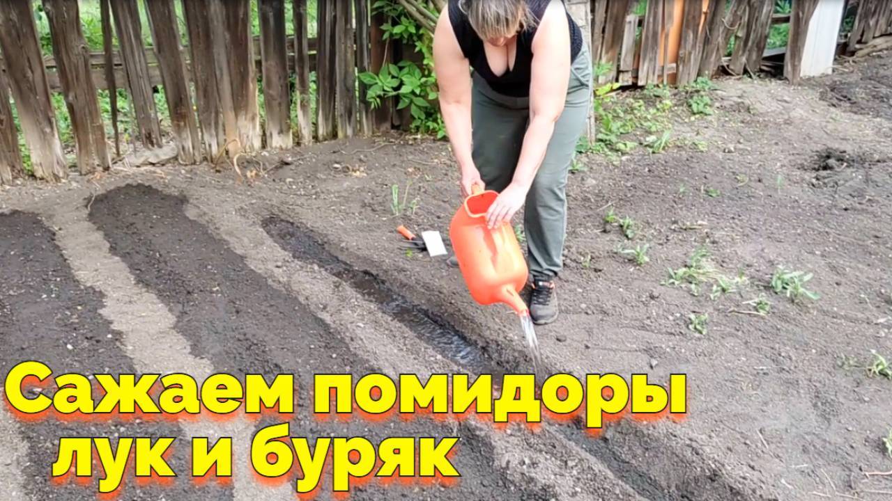 САЖАЕМ ПОМИДОРЫ СВЕКЛУ И ЛУК ! (9 СЕРИЯ)