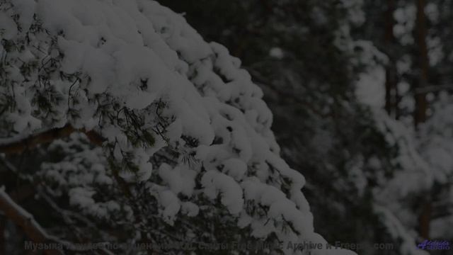 Камера и трек сливаются в безупречный поток красоты - Gilded-Moon -- Ketsa -- The Calling
