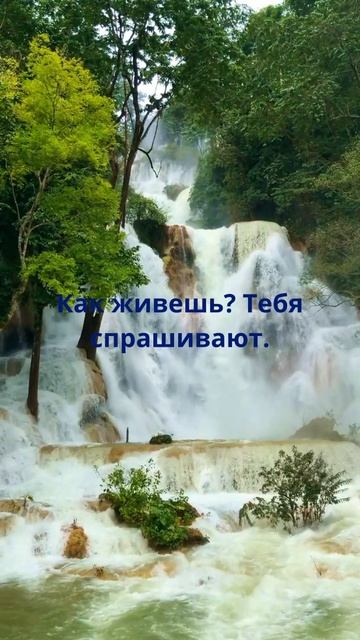 Анекдот от Жириновского!