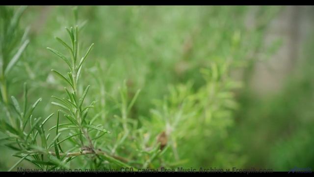 Поля становятся морем, а ноты - волнами - Happy Go Lucky -- Scott Holmes Music -- Music for TV + Fil