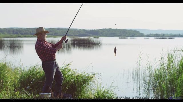 Музыка, синхронизирующая ваши мозговые волны - научный прорыв! - Two ducks on a tree -- Cartouch --