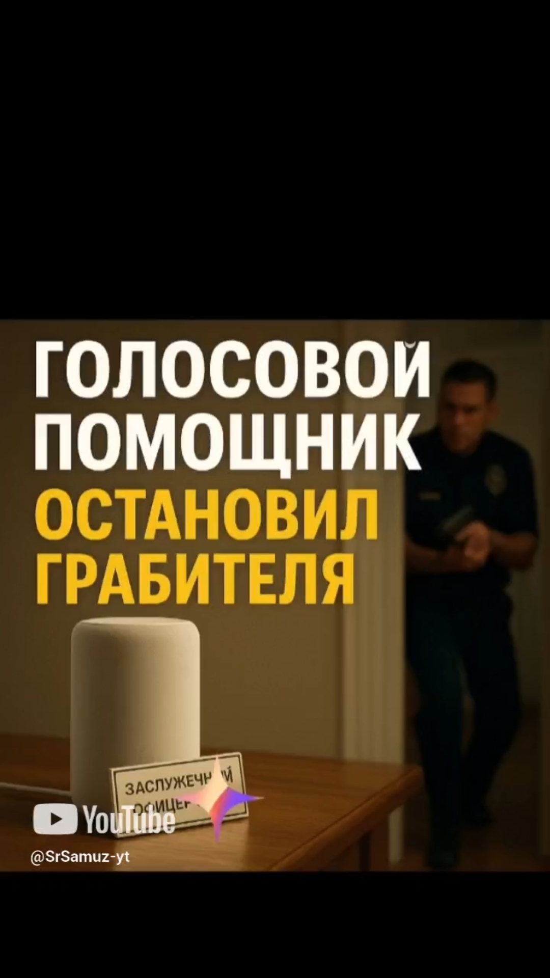 Голосовой помощник остоновил грабителя