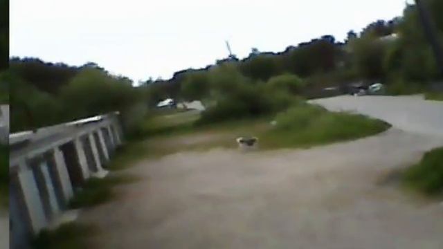 VID-20250622-WA0004.mp4