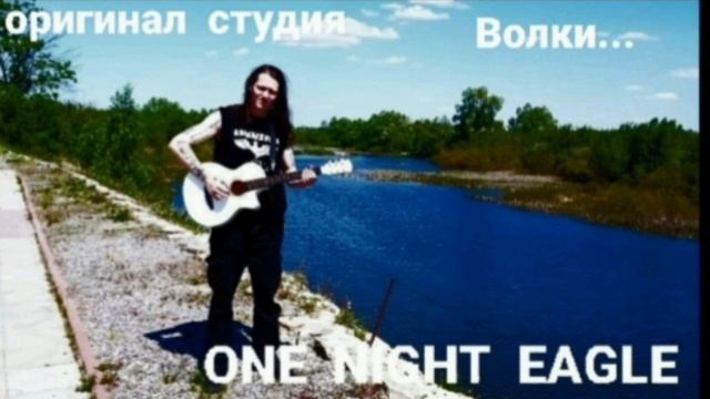 ONE  NIGHT  EAGLE. Волки. Оригинал.  Студия