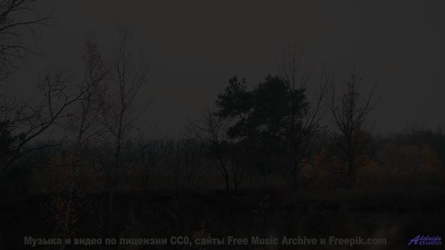 От этих видов под эту музыку мурашки - Zebra -- A. A. Aalto -- Connections