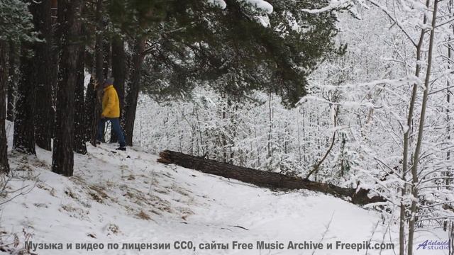 Он настолько трогательный, что хочется обнять весь мир! - Stay Alive -- Hollie Cook -- Live at WFMU