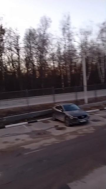я увидел клопа
