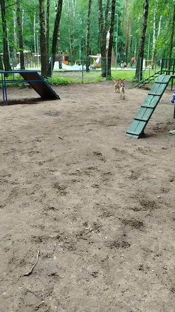 1000106921.mp4