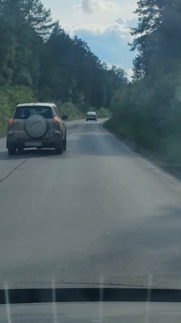 Дорога на Палкино,Свердловская область