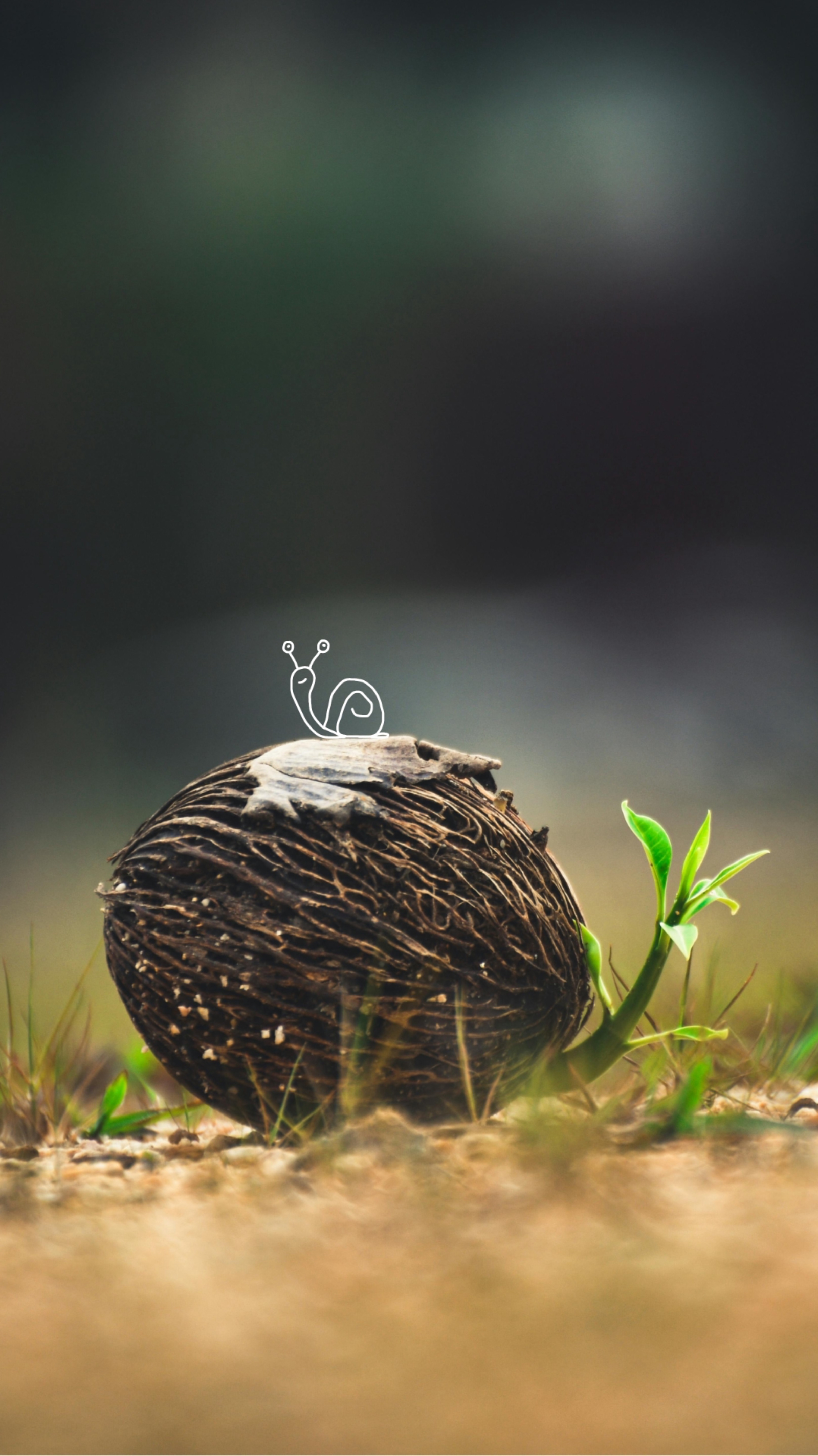 #рисунокнафото от @vsezheprosto