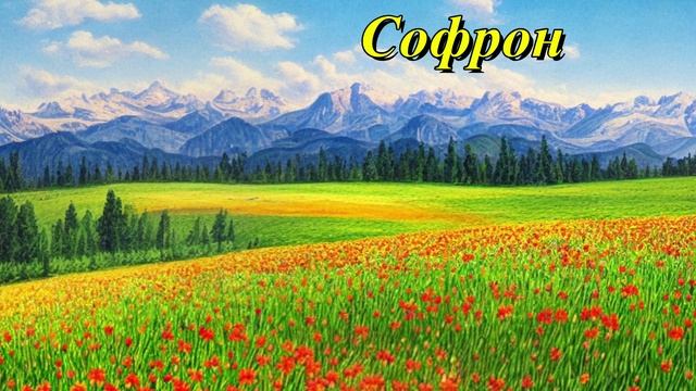 Софрон