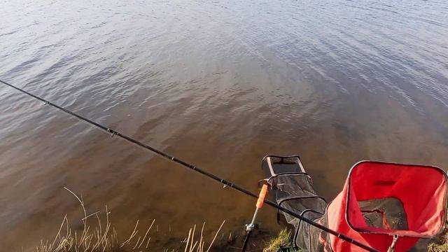рыбалка удалась))) наловили карася.