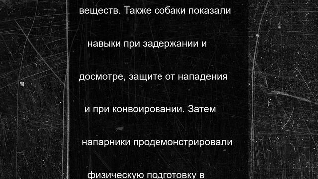В Перми прошли соревнования кинологов и полицейских собак