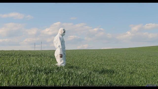 Лесные пейзажи качаются на нотах, как на волнах - Pives And Flarinet -- Podington Bear -- Meet Podin