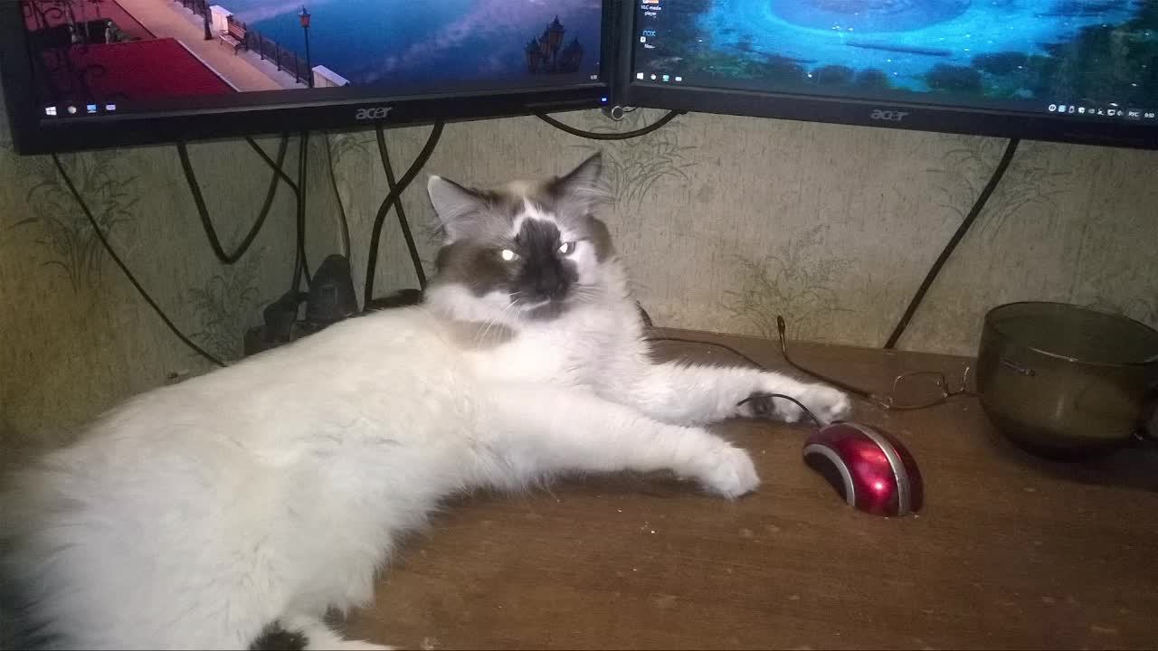 играю для души