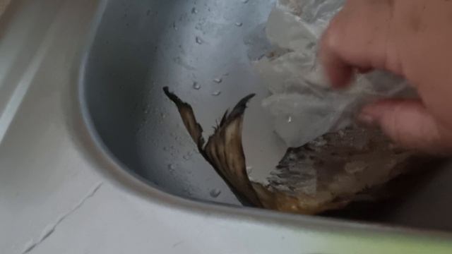 Готовлю быстро из своих запасиков! Вкуснота!