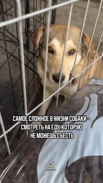 Выдержка наше все! Поддержать⬇️