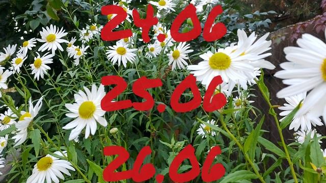 Лунный календарь для цветоводов с23.06-29.06.25г.