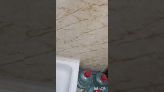 1000088189.mp4