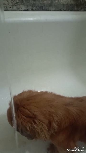 1000217696.mp4