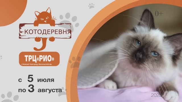 «Котодеревня» в Нижнем Новгороде, ТРЦ «Рио»  с 5 июля по 3 августа