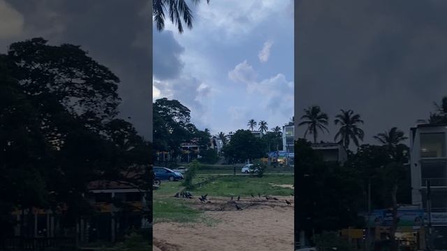 НА БАЙКЕ ПО ШРИ-ЛАНКЕ: ДЕНЬ 1 ИЗ 16 🇱🇰