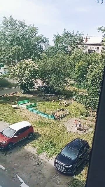 22.06.25./вид из окна на сторону дворика и ещё один жилой дом,рядом справа донорский корпус.