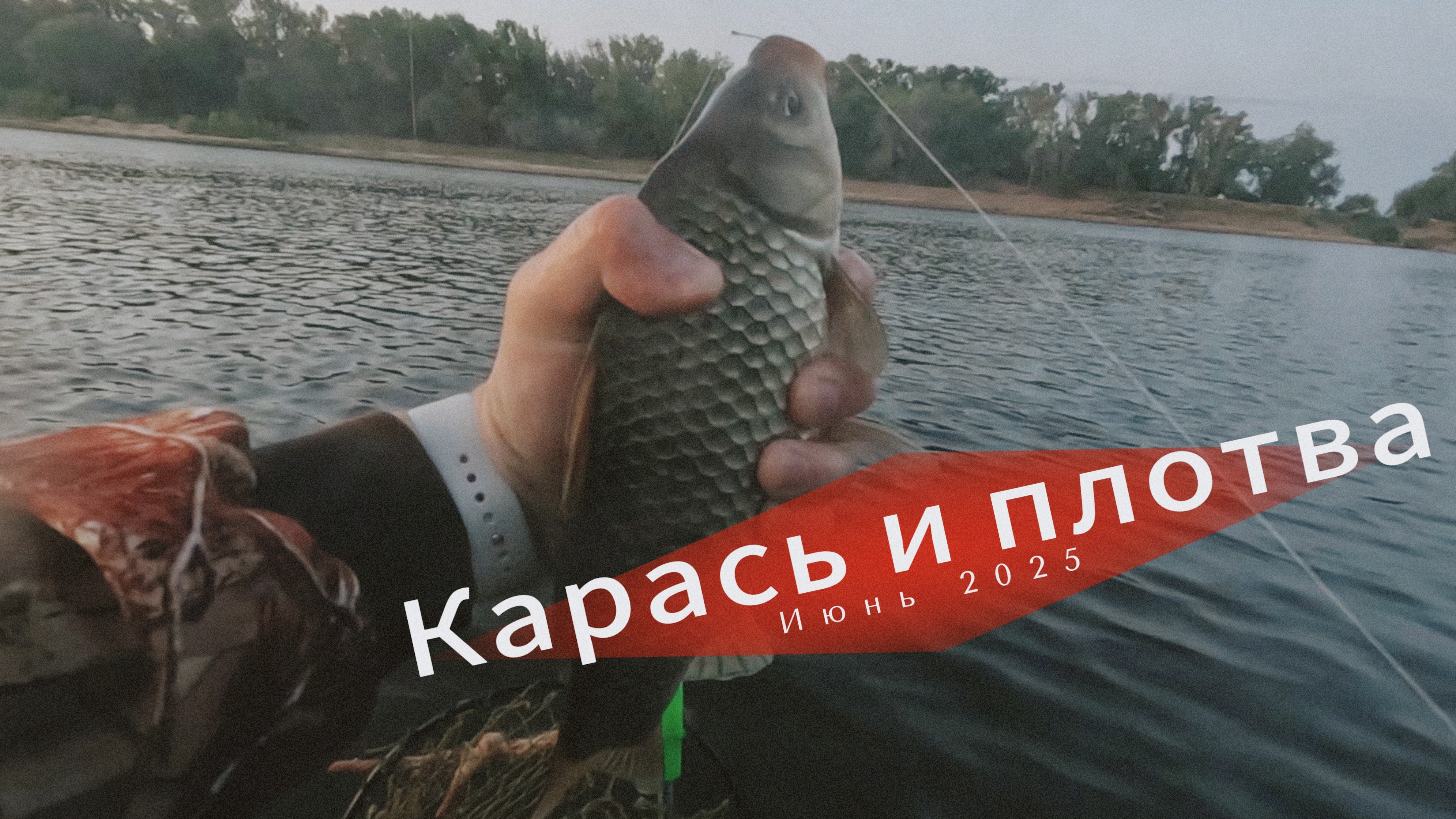 Июнь 2025. Карась и плотва клюют на перловку. Но всегда есть нюансы...