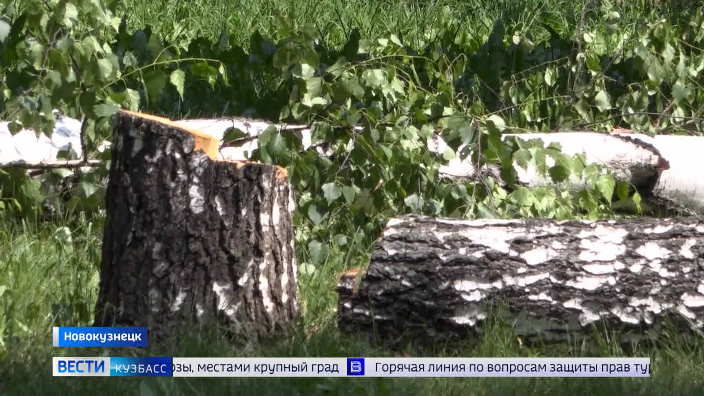 Жители Новокузнецка пытаются отстоять сквер в центре города
