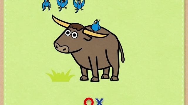 Letter Oo