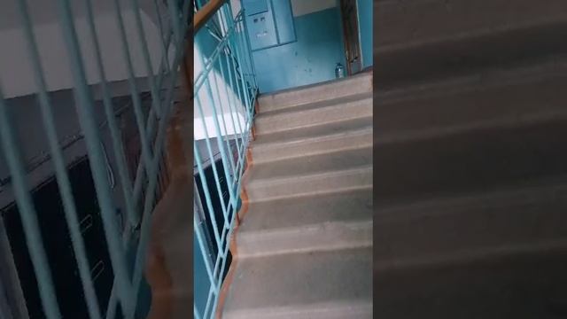 VID-20250622-WA0008.mp4