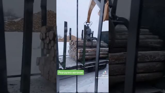 дайнобой