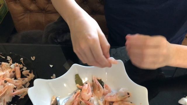 Кошка съела все креветки / Английский и физра на дистанционке