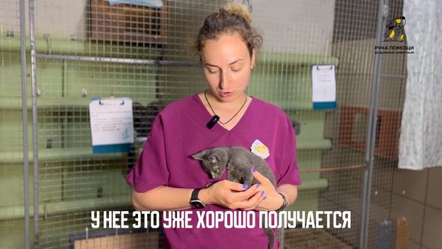 Новости о Сушке. Поддержать⬇️