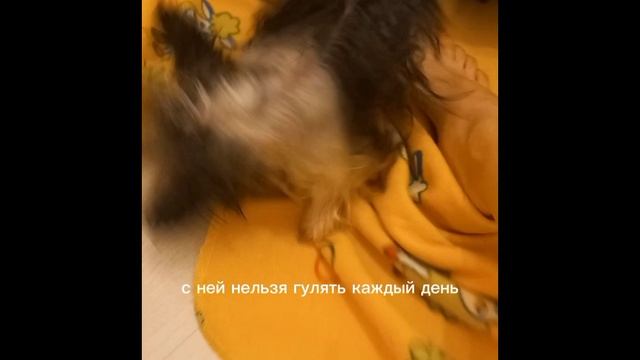 ------------