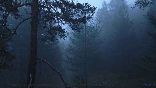 Гроза звучит как этот трек! - Dont (Please) Come Around Here -- Eyelids -- Live at Monty Hall, 11152