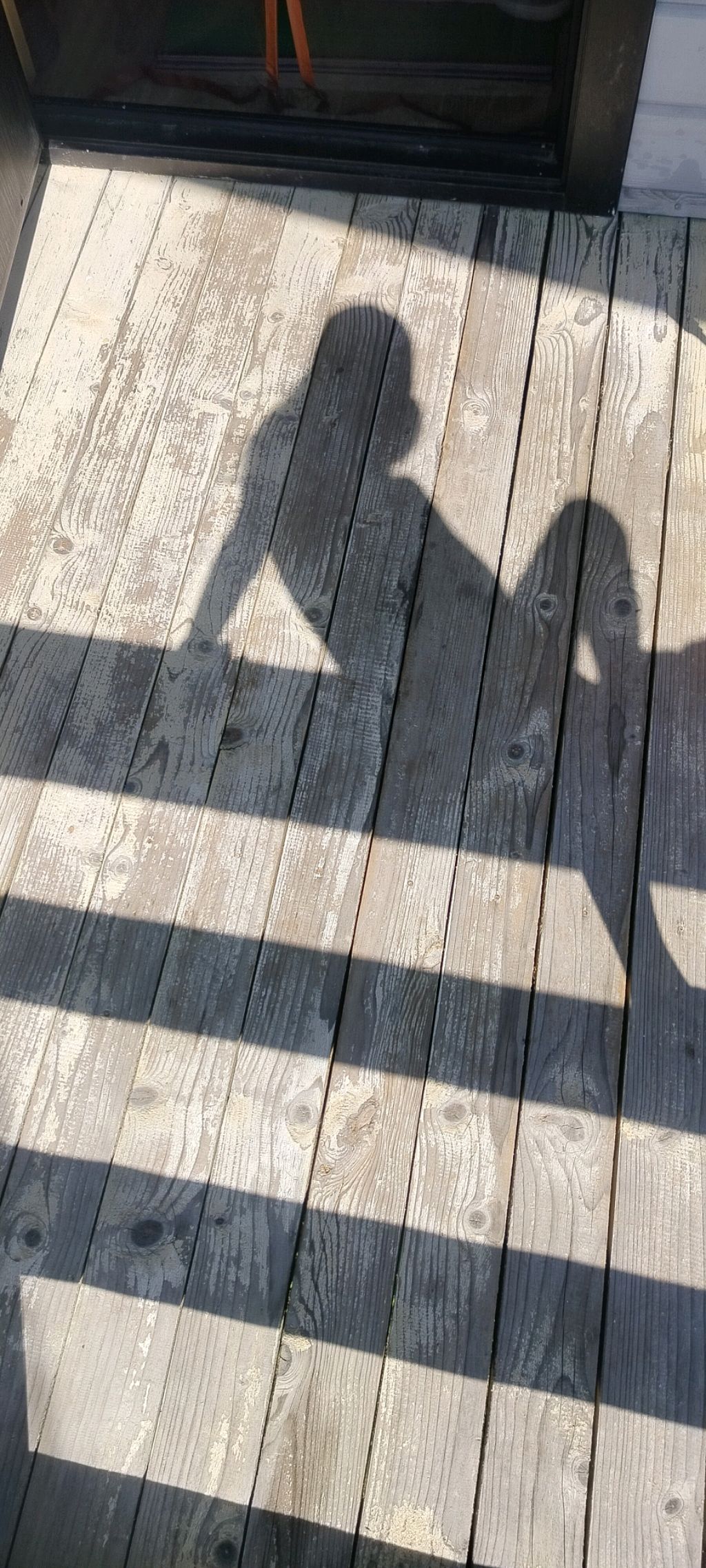 Я ВАС ОБОЖАЮ 🥰 ❤️🩹🩷❤️