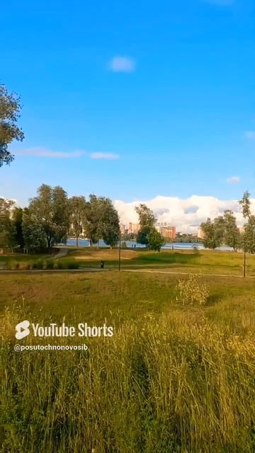 Экопарк Арена в Новосибирске