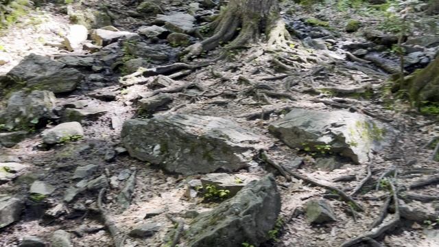 Дорога от Чёртовой Мельницы