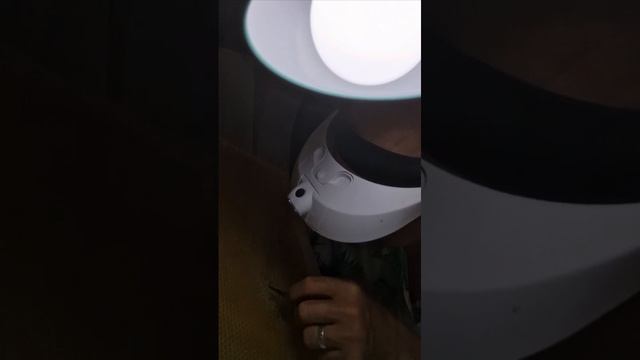 как собрать пчелиное маточное молочко