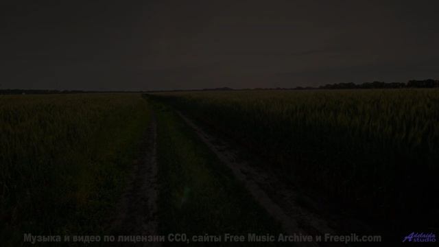 Каждый аккорд отзывается эхом в сердце зрителя - Its Time -- Jeremy Allingham -- Run Wild