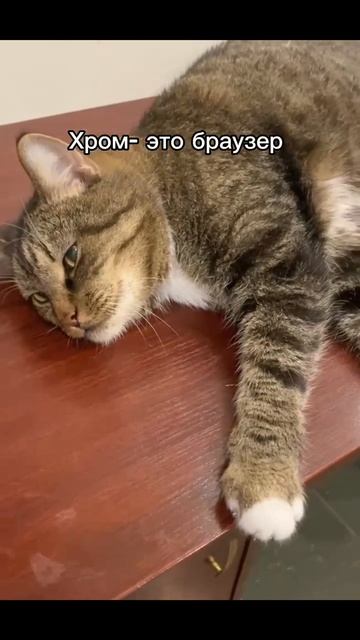 На уроке химии😁🙀🏫
